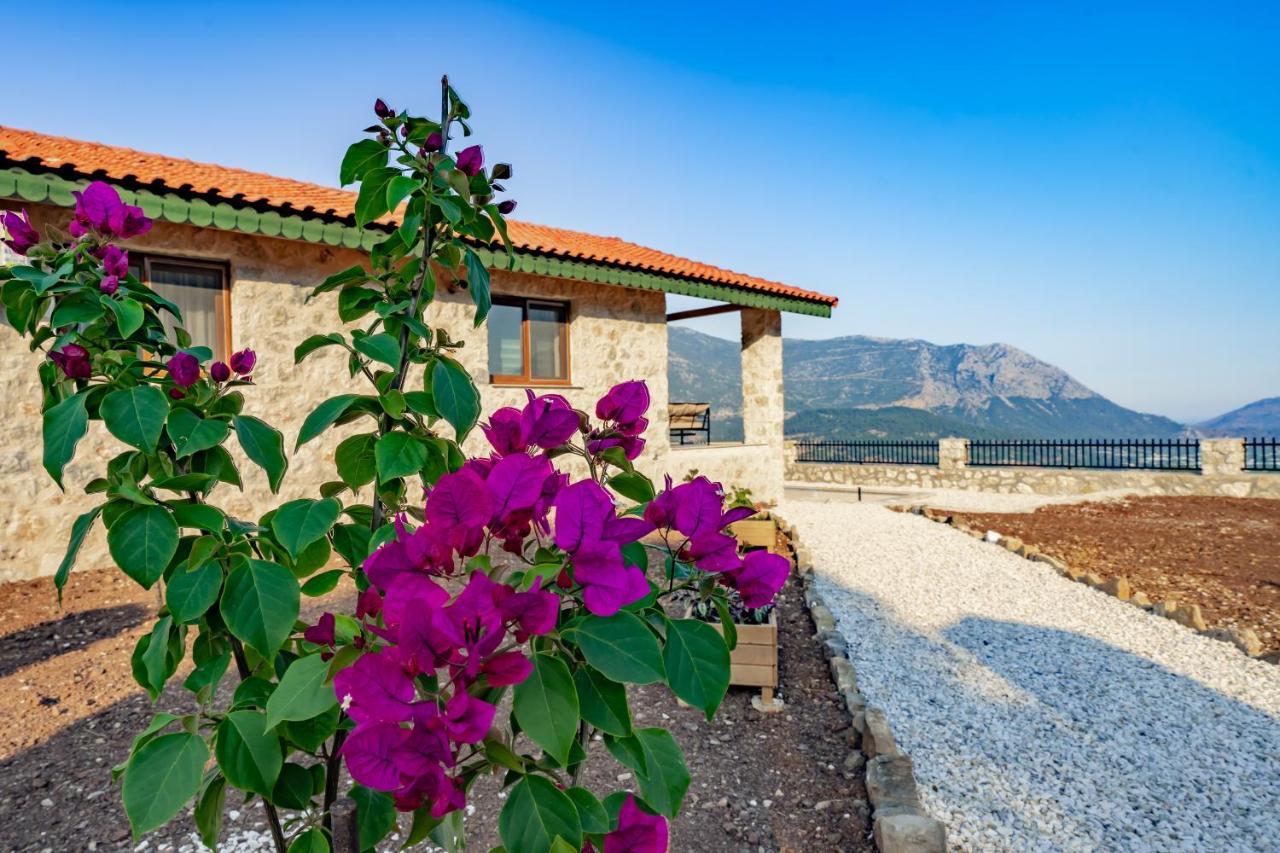 Villa Teras Adrasan Dış mekan fotoğraf