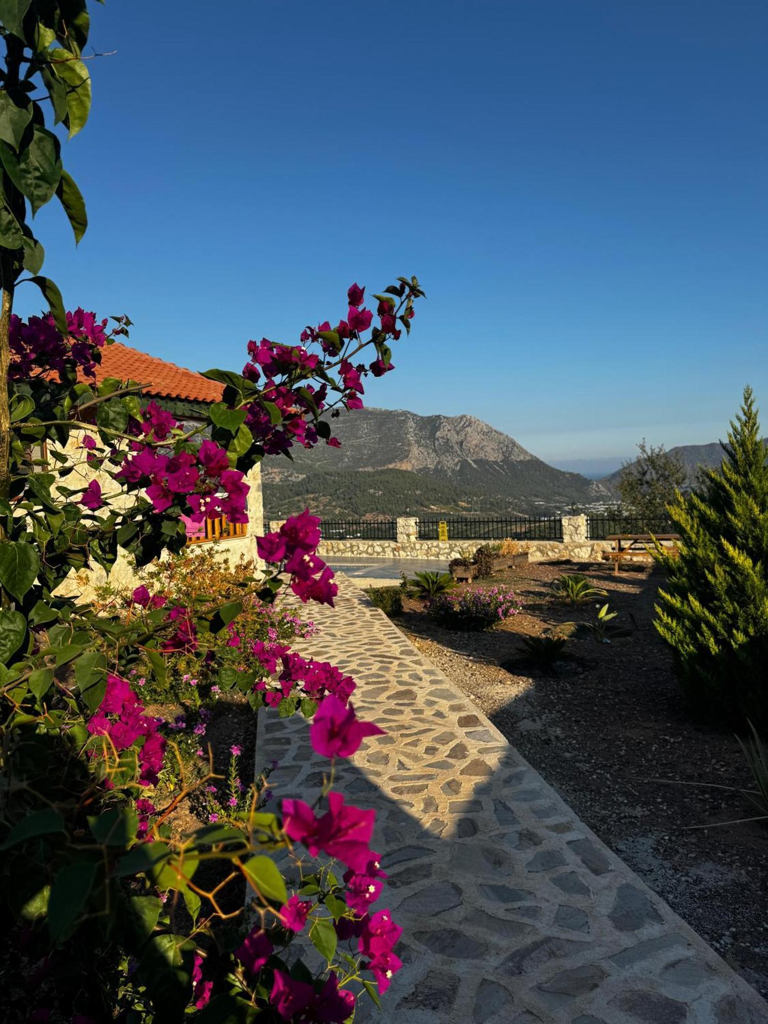 Villa Teras Adrasan Dış mekan fotoğraf